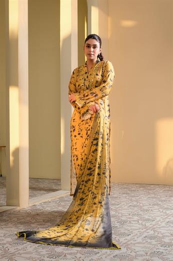 Mustard Mirror Work Raw Silk Ladies Pret