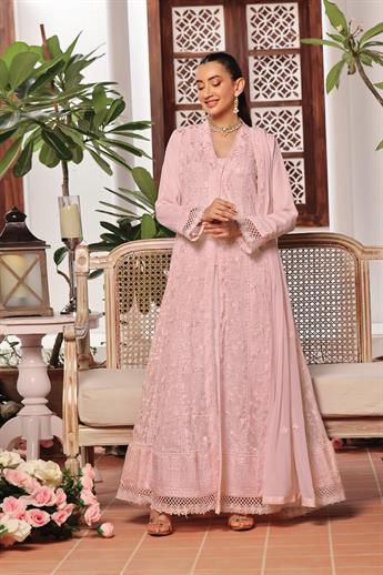 Baby Pink Raw Silk Ladies Chiffon Embroidered Long Dress