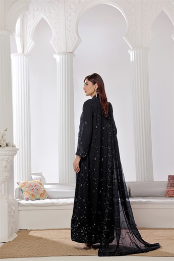 Black Raw Silk Ladies Chiffon Embroidered Long Dress