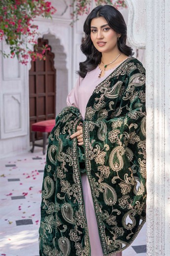 Pink & Green Velvet Ladies Winter Collection