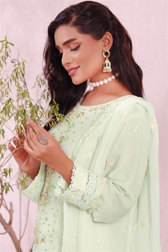 Light Mint Embroidered Raw Silk Ladies Readymade