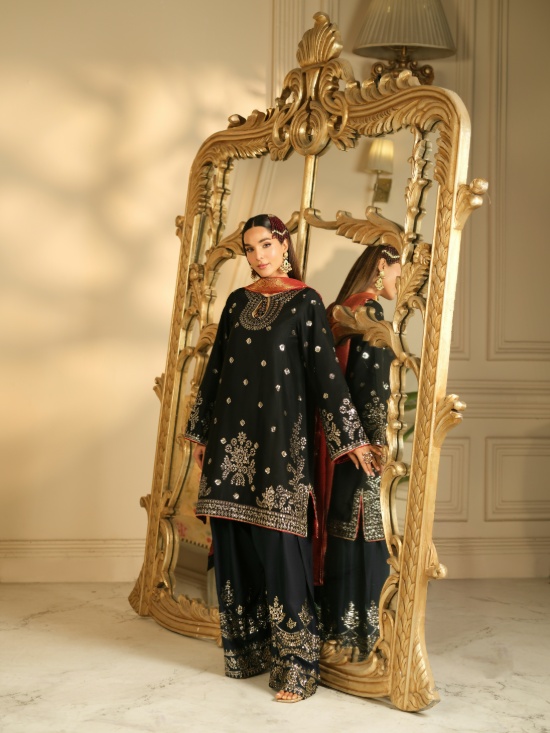 Full Embroidered Cotton Shirt.
Embroidered Plazo.
Jacquard Shawl.