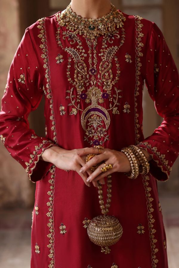 Embroidered Organza Sharara Mahi