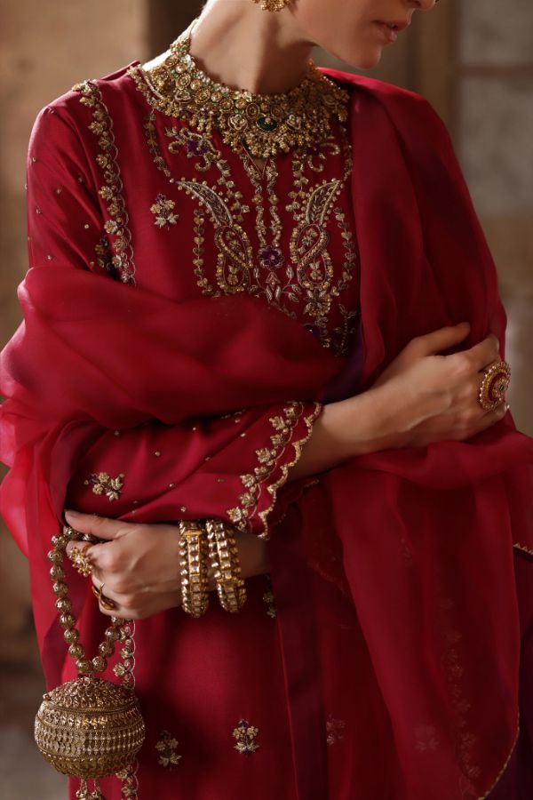 Embroidered Organza Sharara Mahi