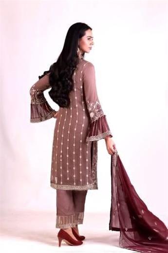 Brown Embroidered Salwar Kameez and Chiffon Dupatta