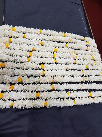 Ivory/Yellow