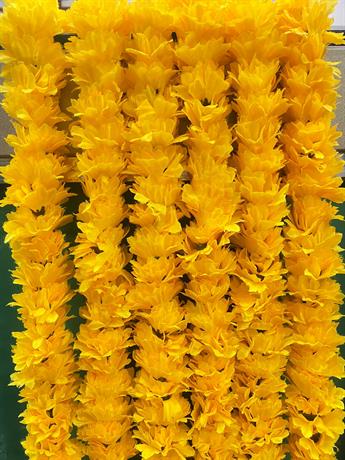 MUSTARD