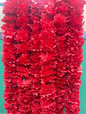 RED/D