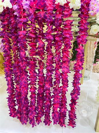 PINK/PURPLE