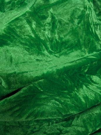 PARROT GREEN