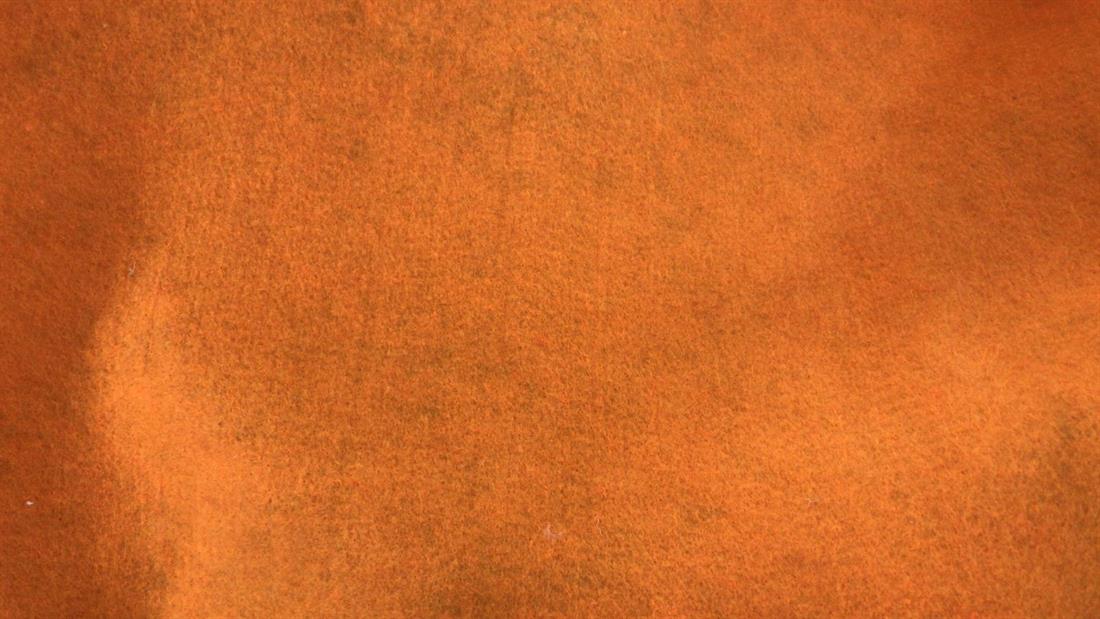 Orange Clearance Fabric