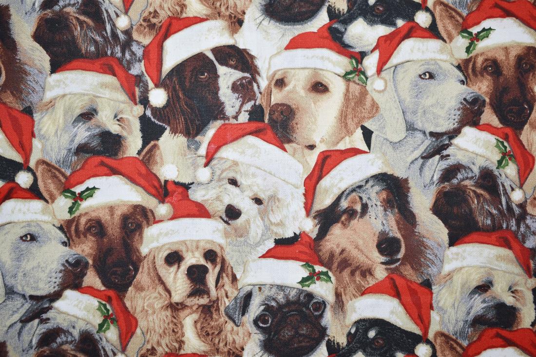 Multicolour Printed Cotton Fabrics