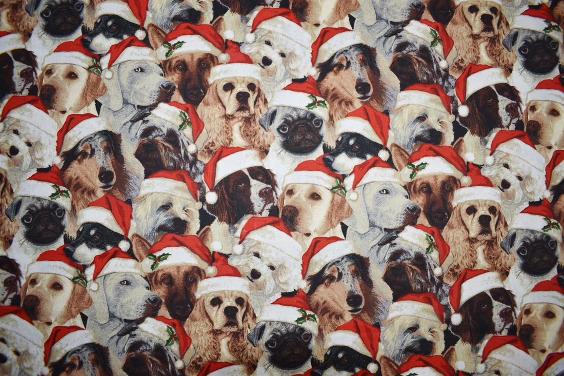 Multicolour Printed Cotton Fabrics