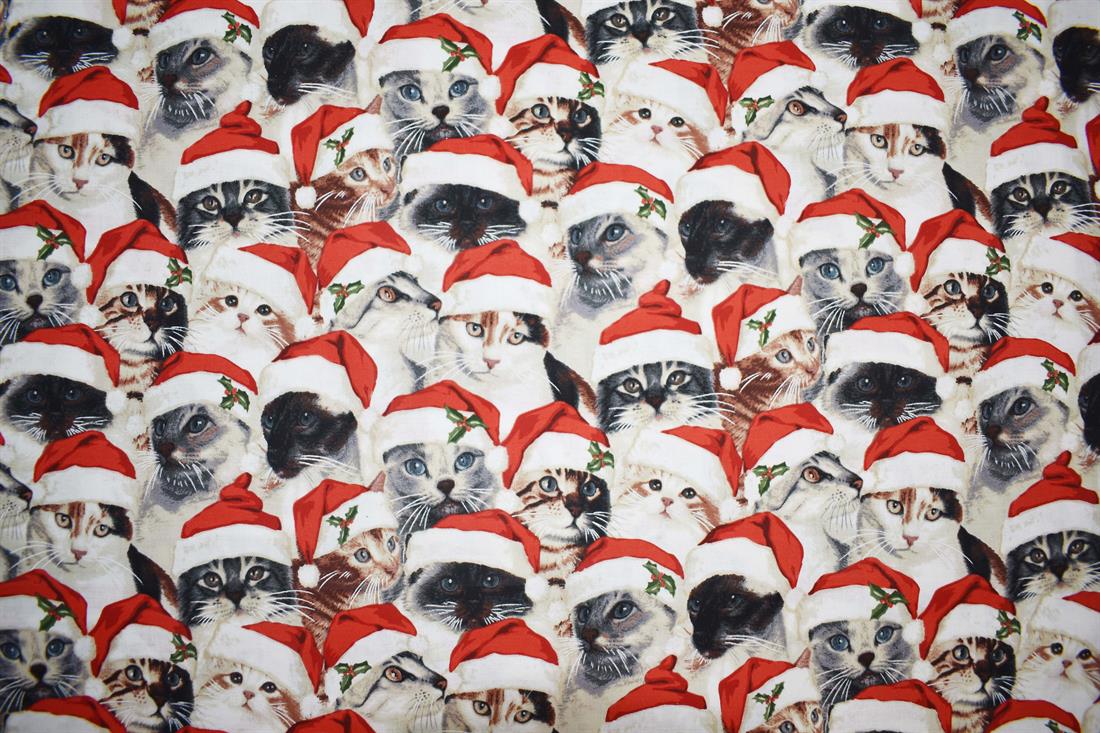 Multicolour Printed Cotton Fabrics