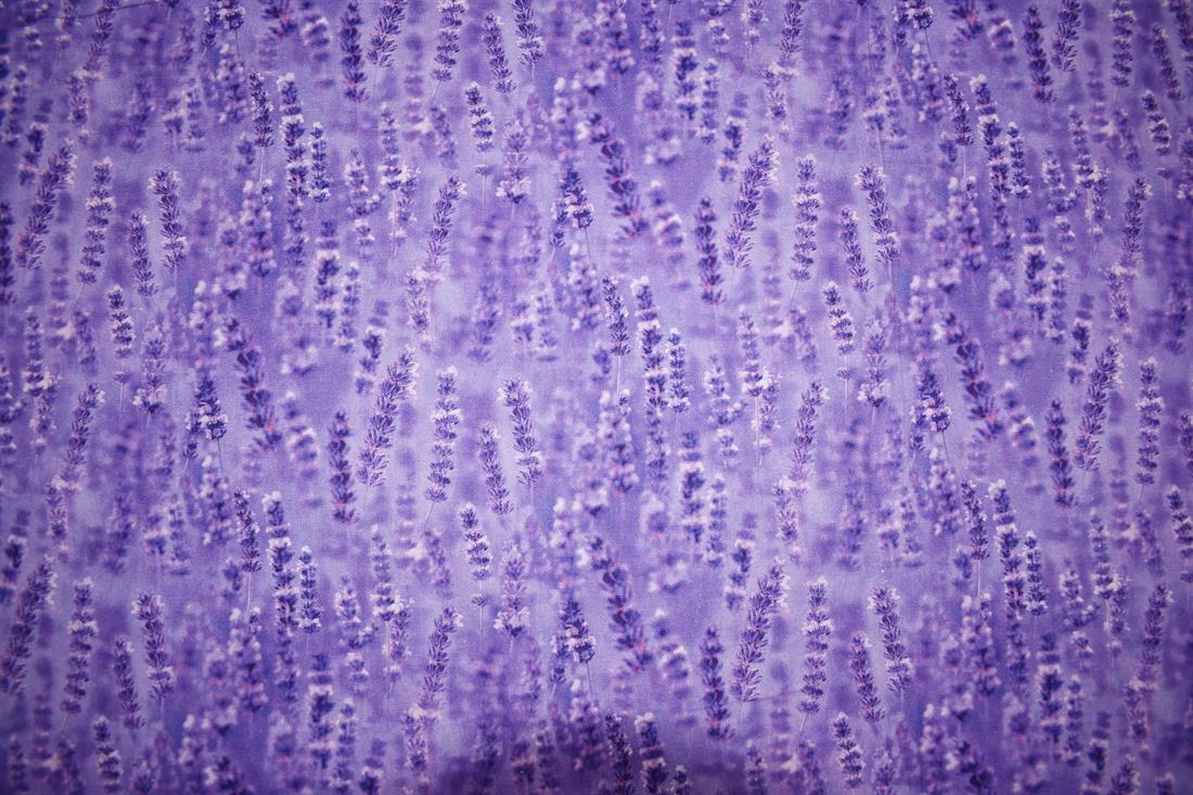 Printed Cotton Fabrics