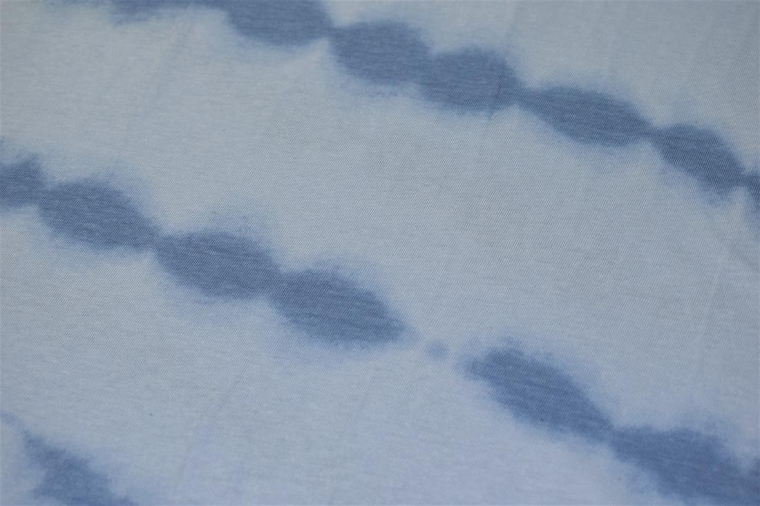 Blue Cotton Printed Jersey