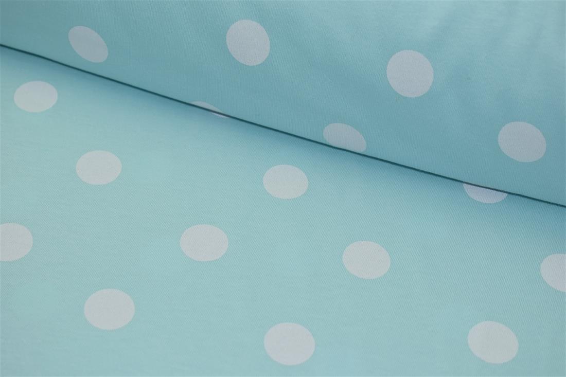 Aqua Cotton Printed Jersey