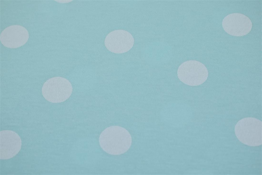 Aqua Cotton Printed Jersey