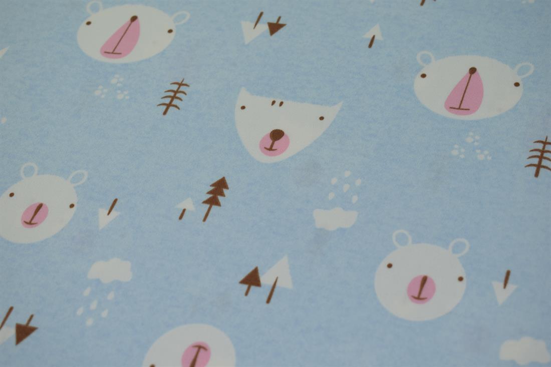 Blue Forest Bear