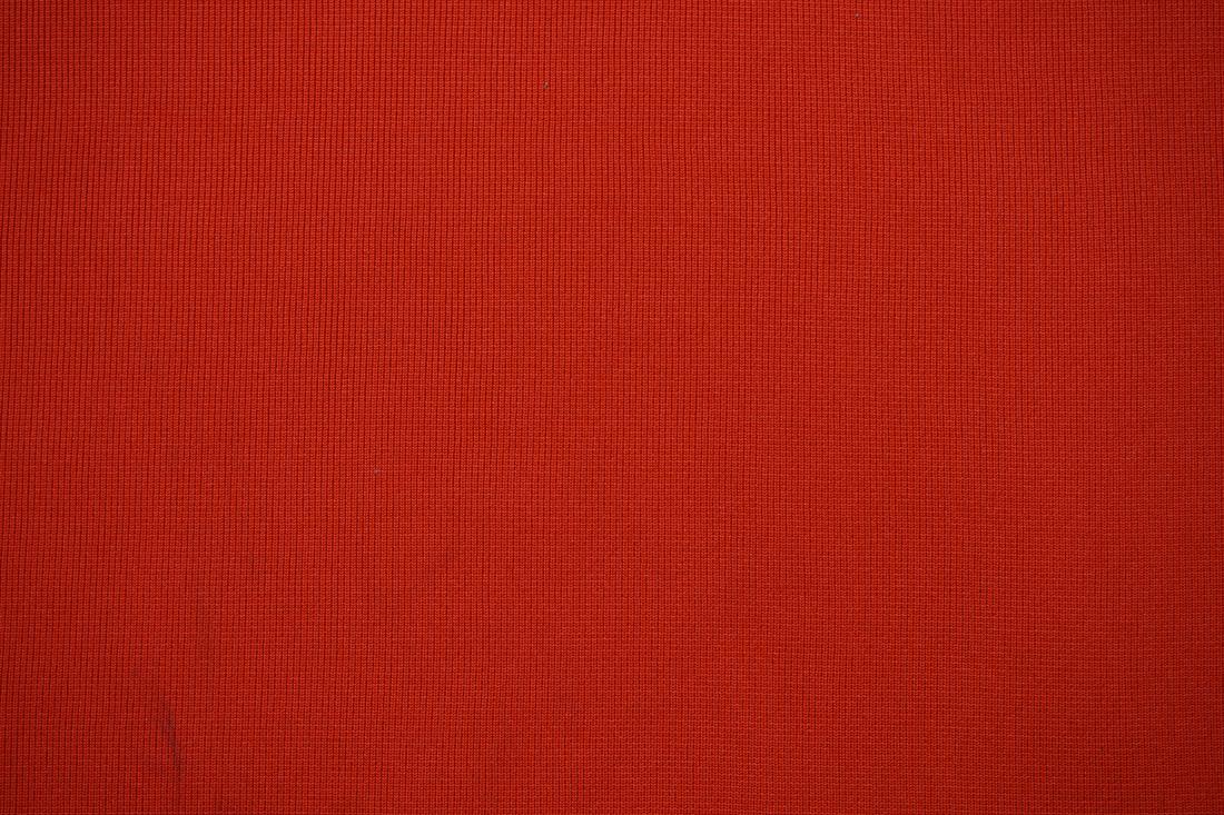 Bright Red Cotton Ribbed Jersey