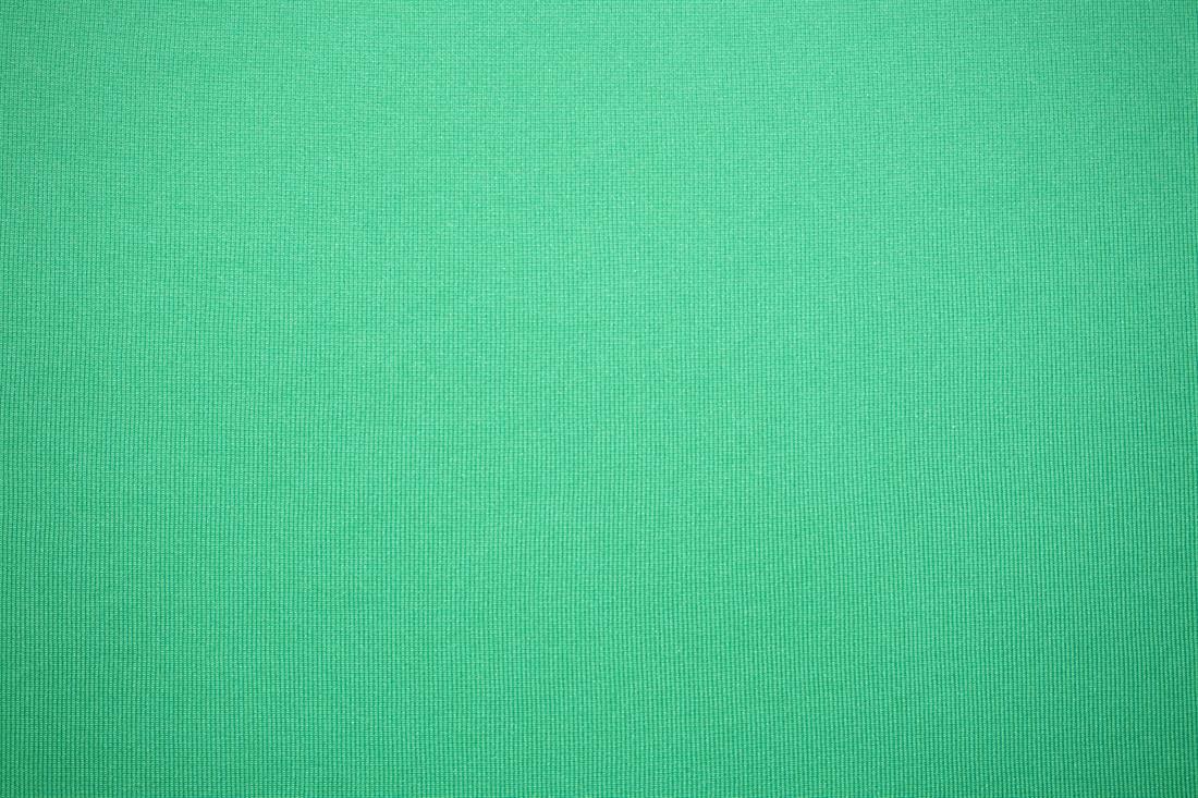 Green Cotton Ribbed Jersey