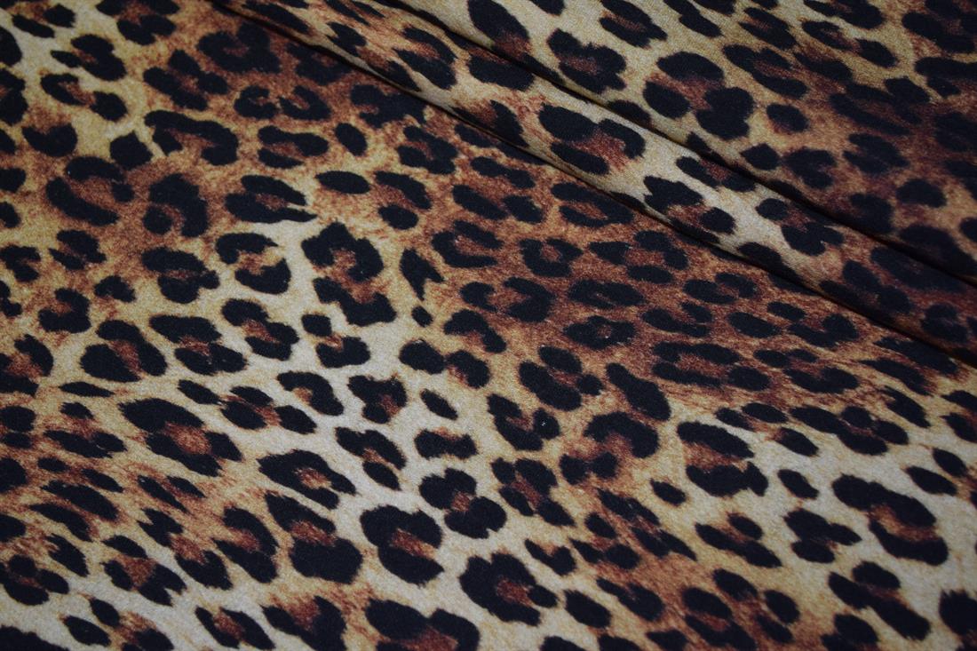 Brown & Black Cotton Printed Jersey