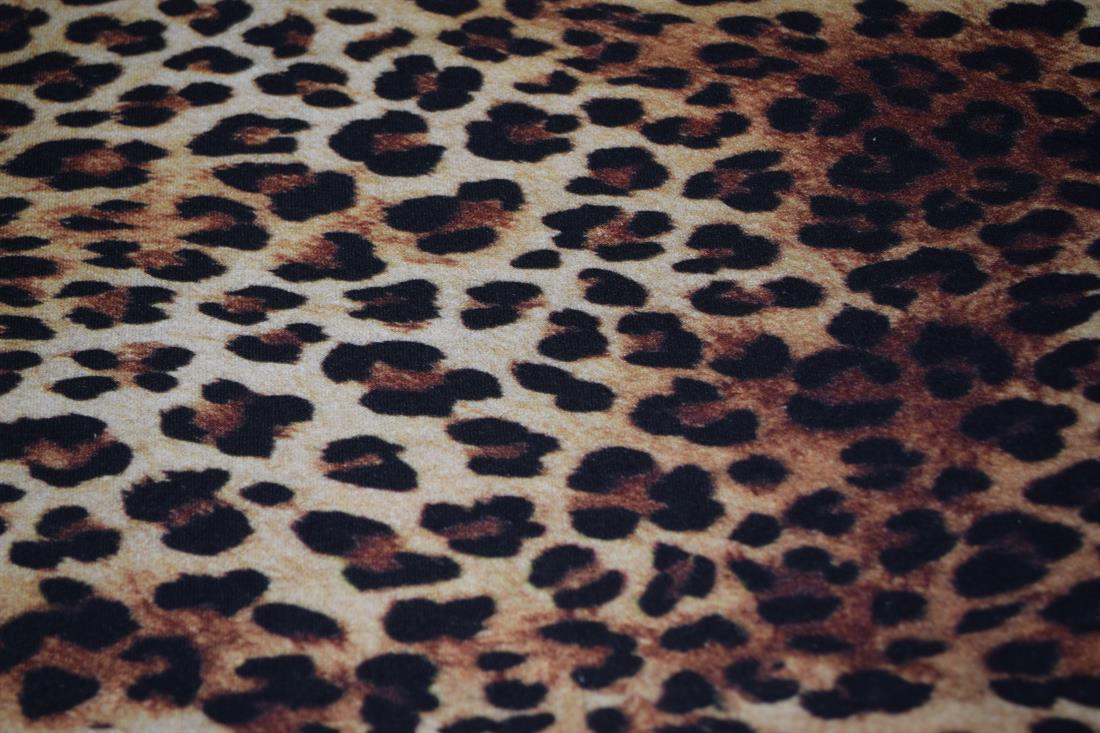 Brown & Black Cotton Printed Jersey
