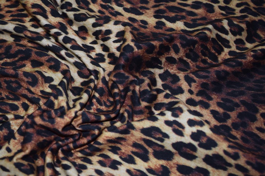 Brown & Black Cotton Printed Jersey