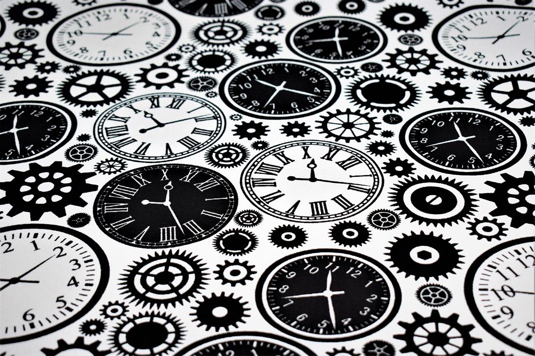 COL 1 Cotton Printed Canvas