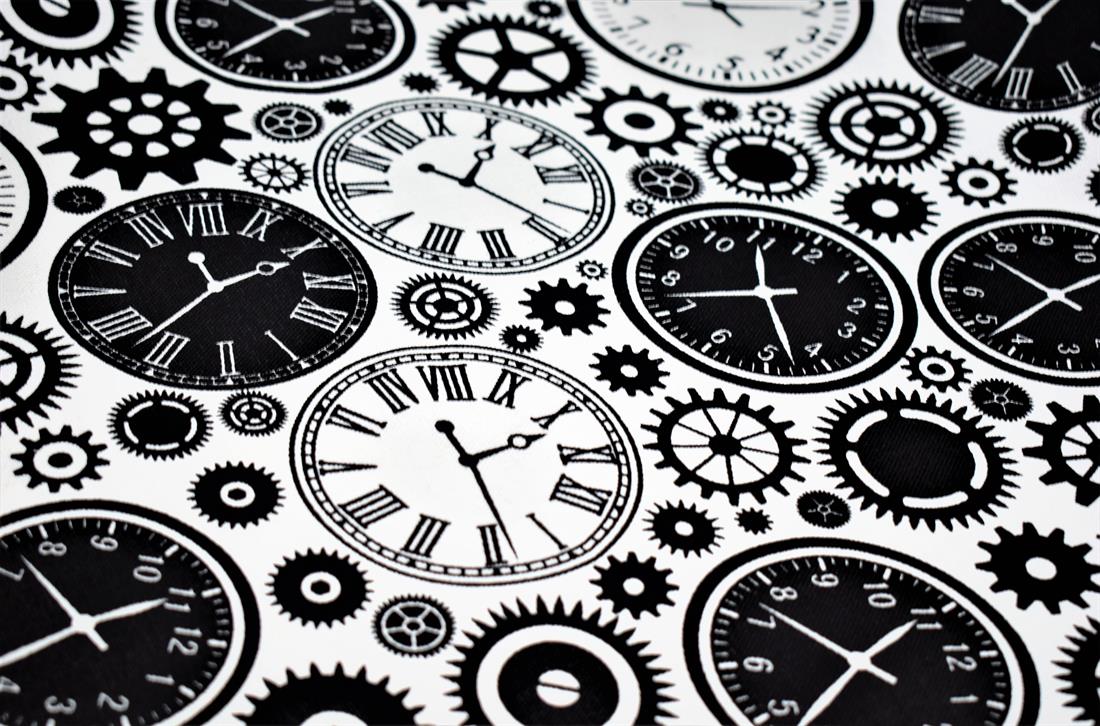 COL 1 Cotton Printed Canvas