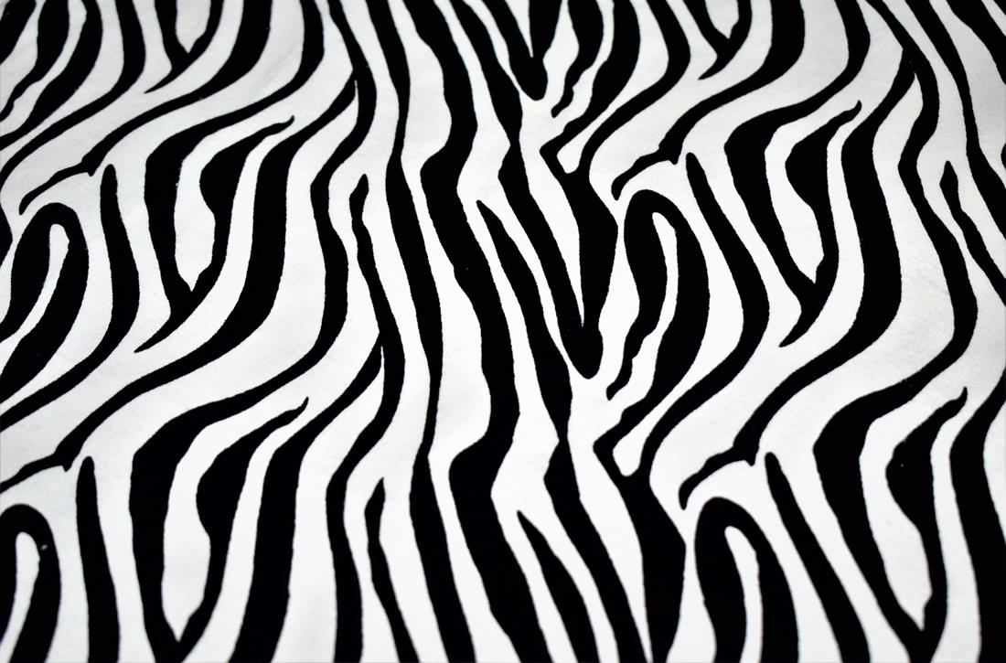 Black & White Cotton Zebra Print