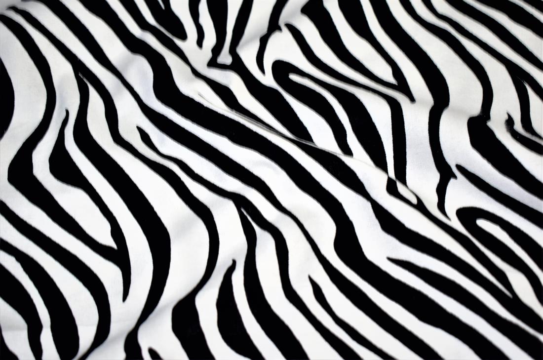 Black & White Cotton Zebra Print