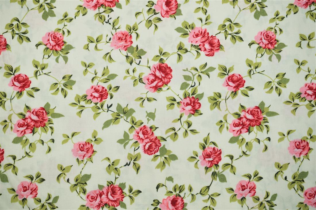 Cream Cotton Rose