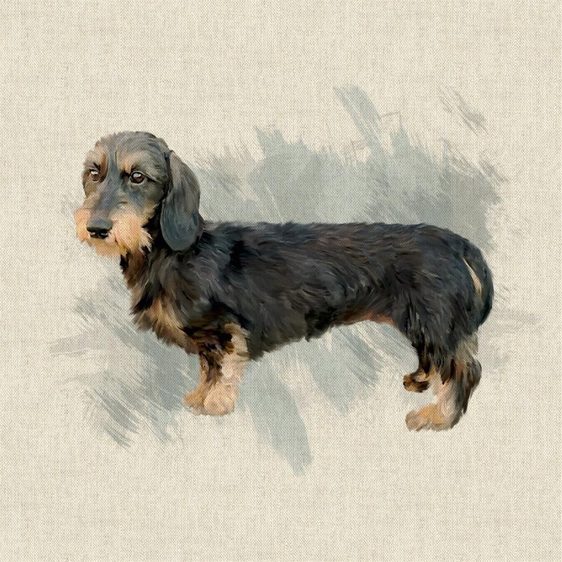 Natural Digital Print Linen Wire Haired Dachshund