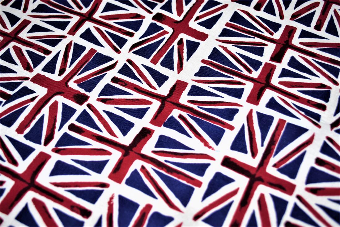 Blue & RED Printed Cotton The Queen's Jubilee