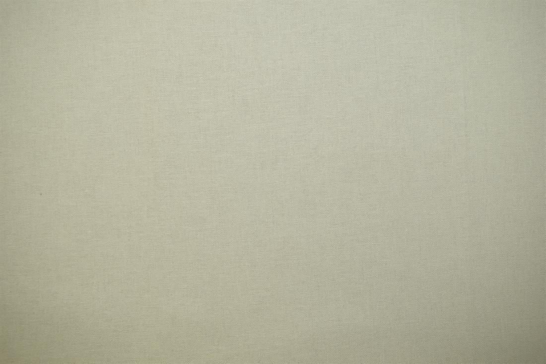 Light Green Cotton Single Fat Quarter 18"x22"Inch