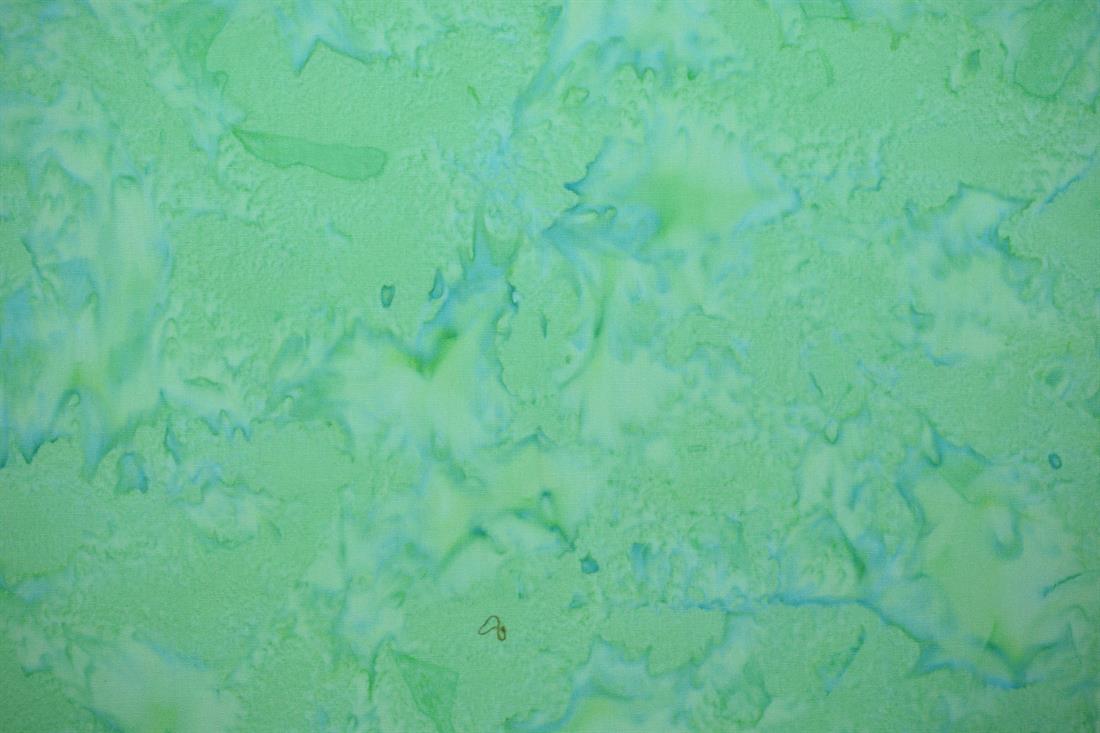 Green Cotton Single Fat Quarter 18"x22"Inch