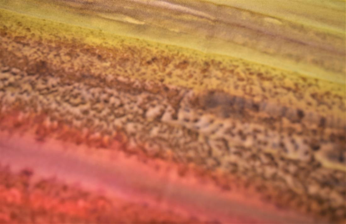 Multicolour Printed Cotton Fat Quarter Bundle