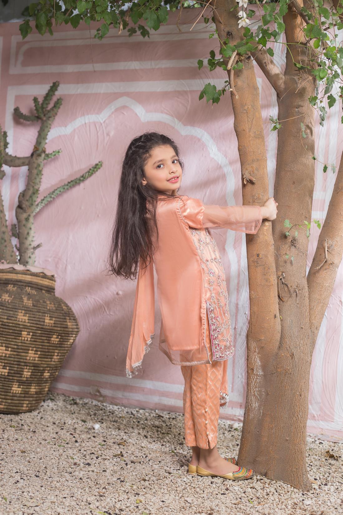 Peach Embroidered Net Gharara Girlswear