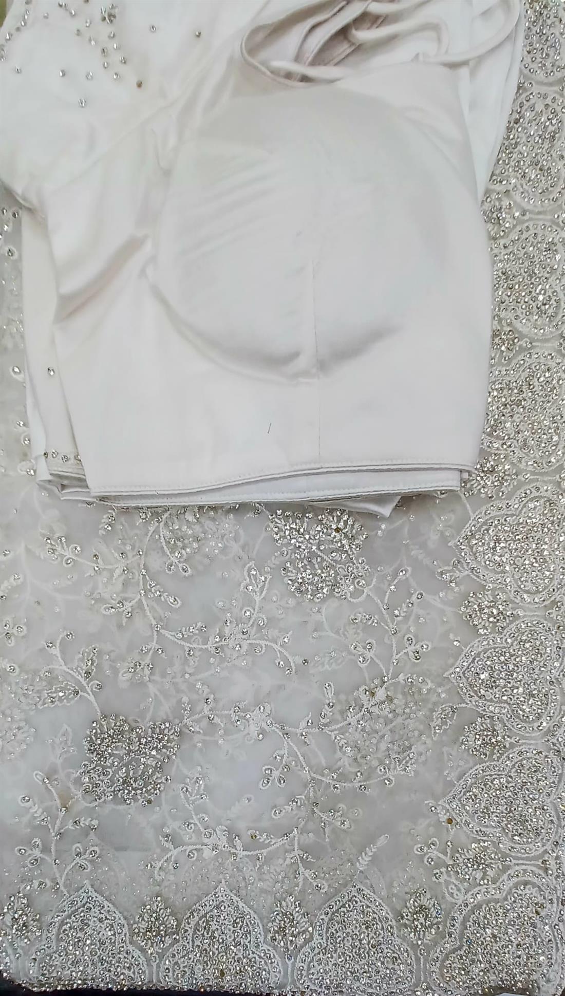 White Net Saree.