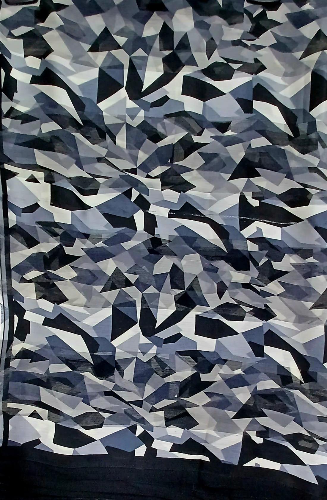 Black & White Chiffon Saree.