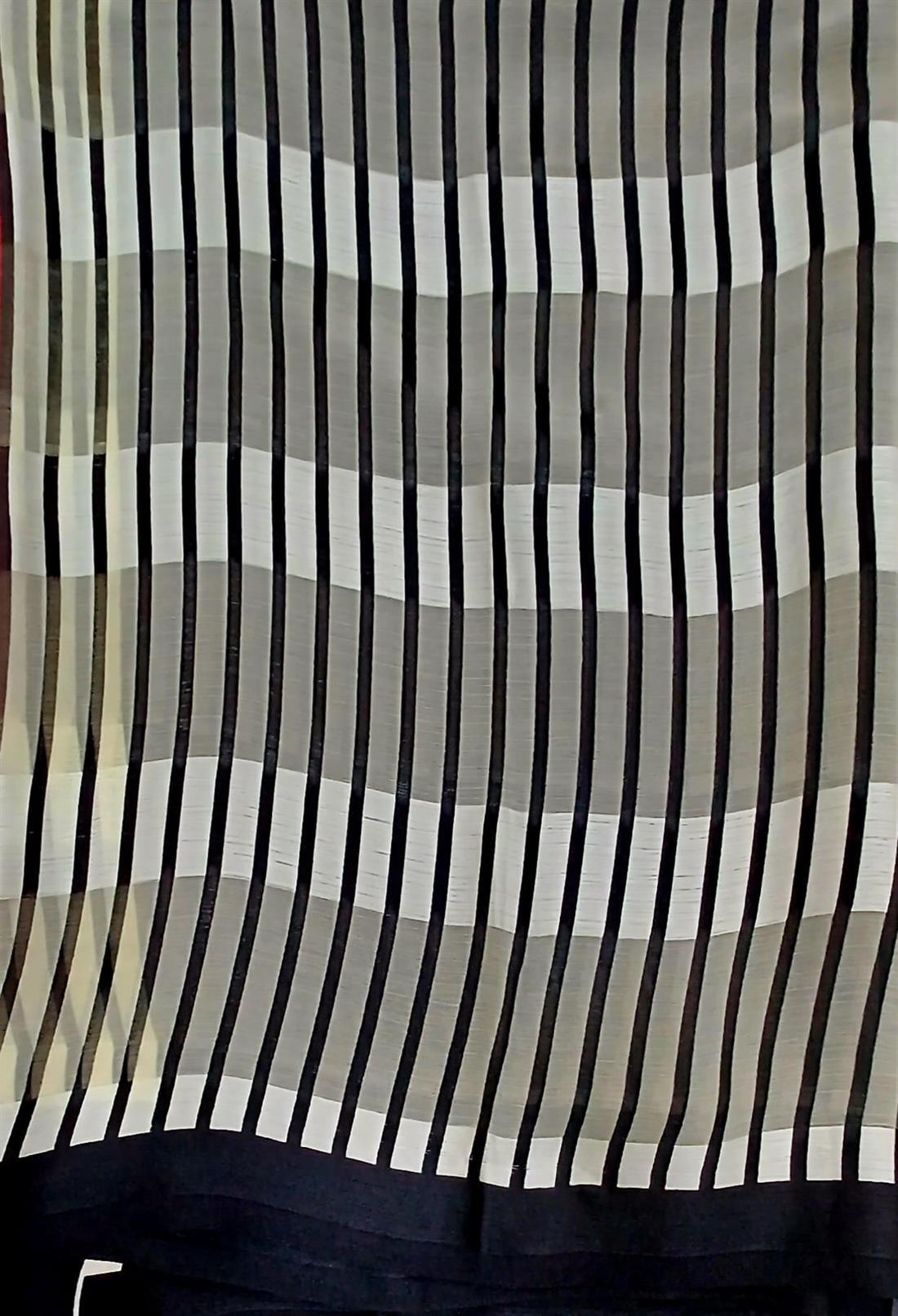 Black & White Chiffon Saree.