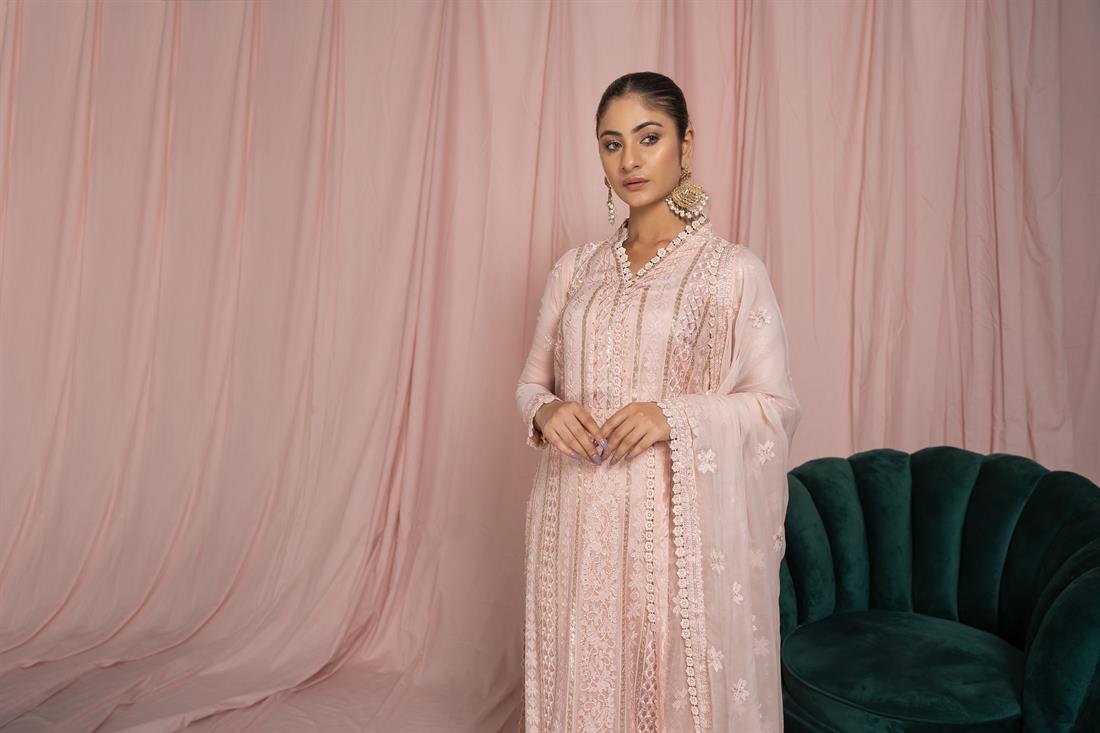Blush Pink Embroidered Raw Silk Ladies Readymade