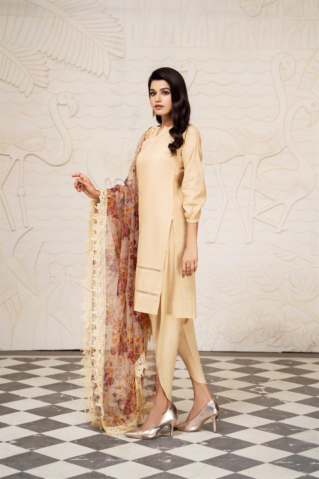 Beige Organza Linen Straight Kameez & Trouser