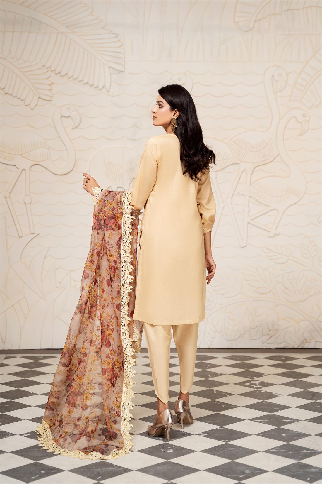Beige Organza Linen Straight Kameez & Trouser