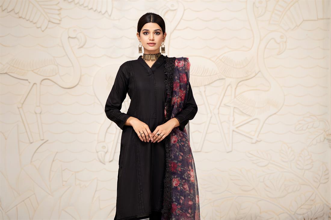 Black Organza Ladies Readymade