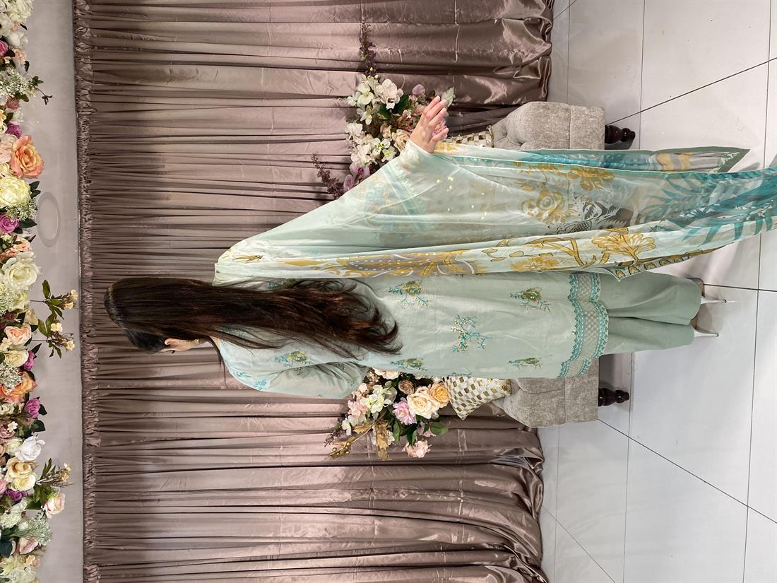 Mint Embroidered Chiffon Ladies Readymade