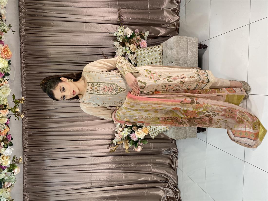 Beige Embroidered Chiffon Ladies Readymade