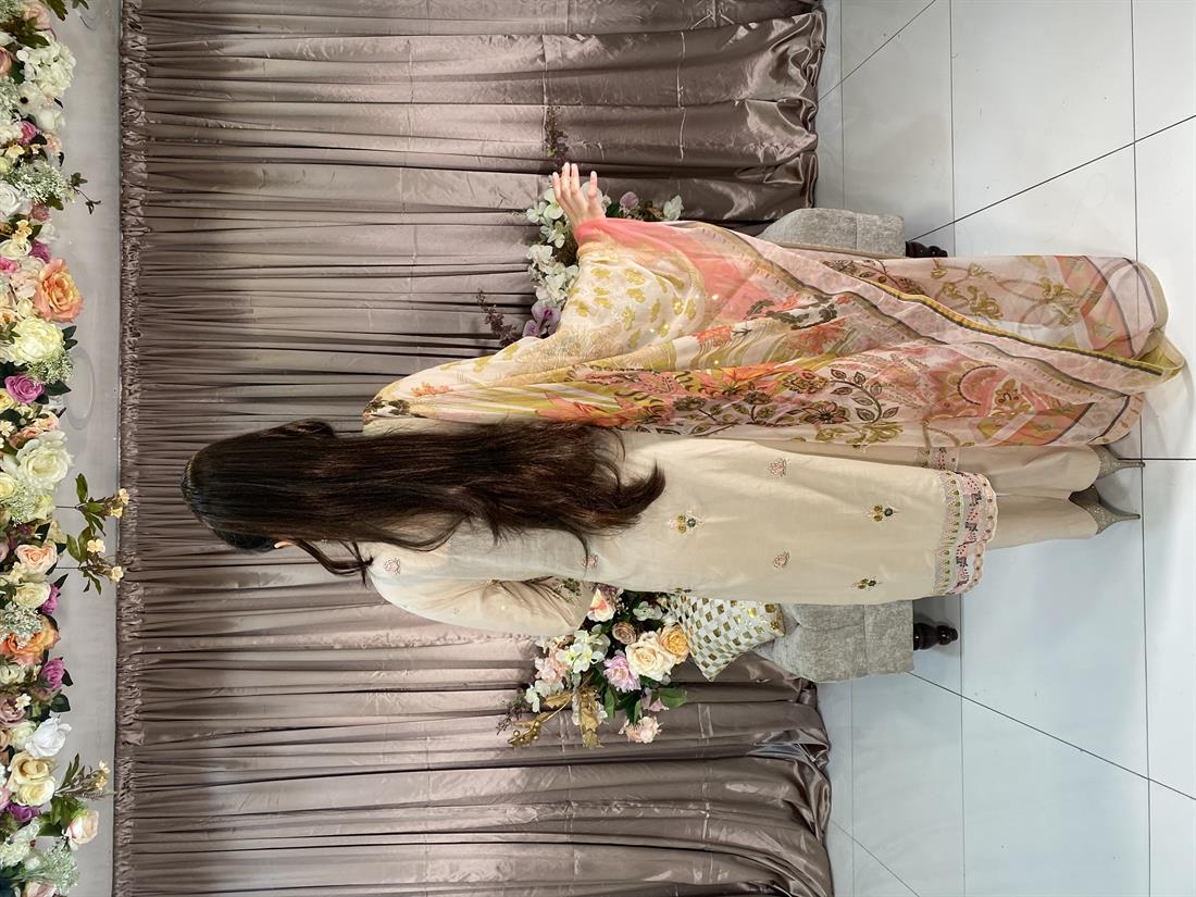 Beige Embroidered Chiffon Ladies Readymade