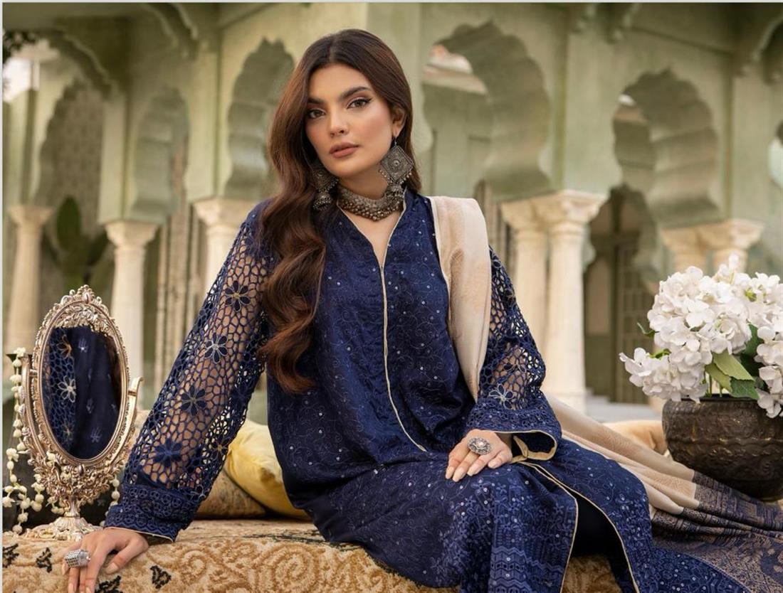 Blue Embroidered Velvet Ladies Readymade